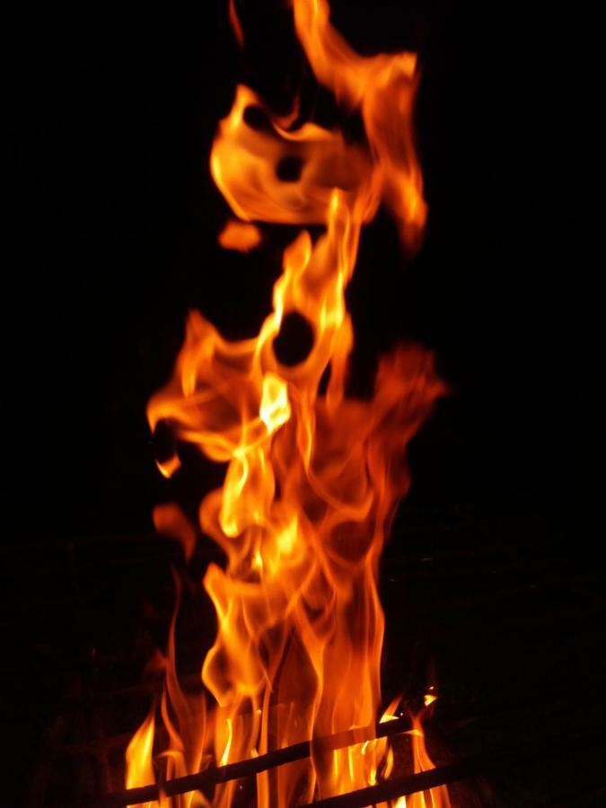 מלון סאסאן גיר Shiv Farm House מראה חיצוני תמונה