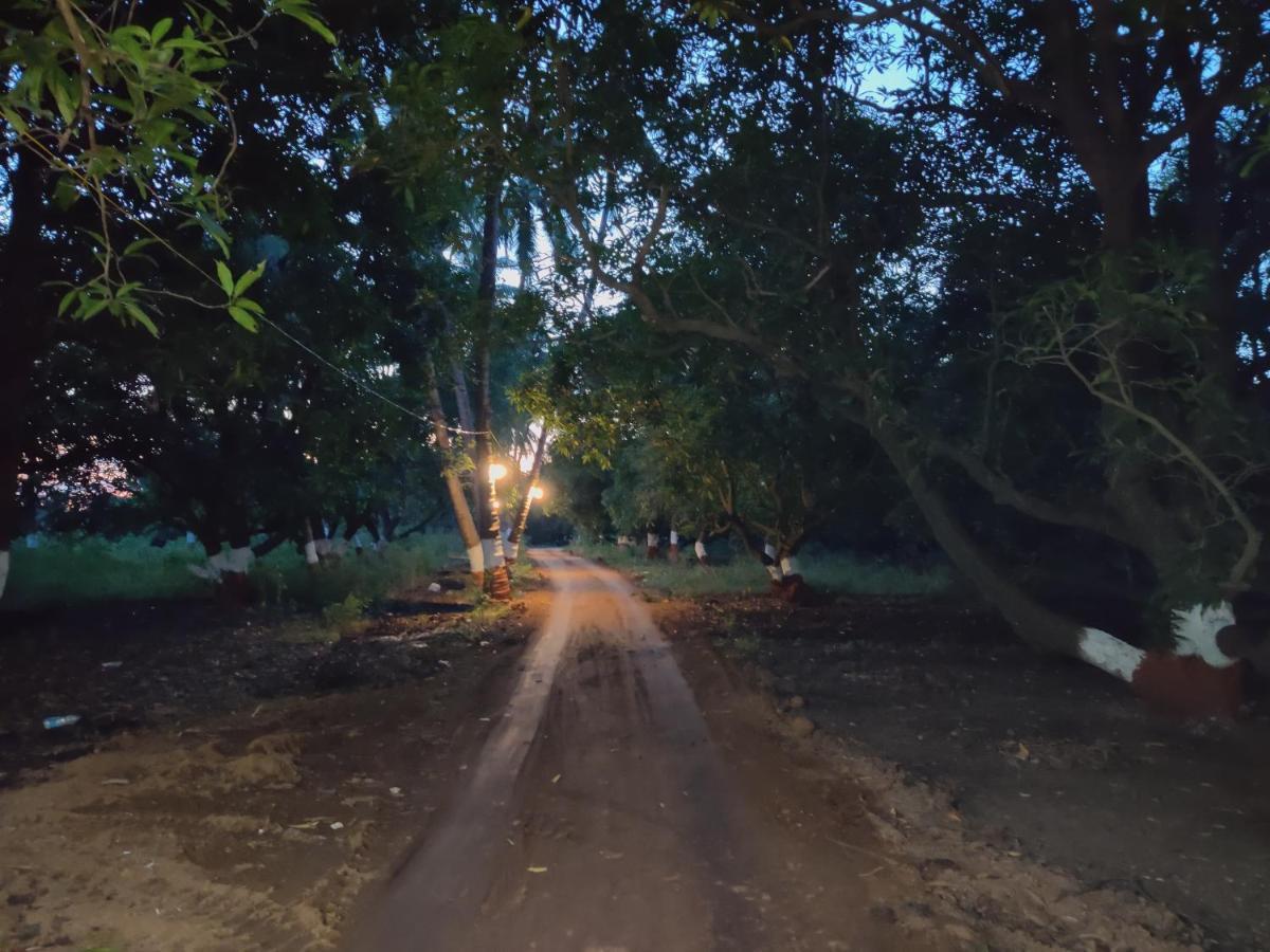 מלון סאסאן גיר Shiv Farm House מראה חיצוני תמונה